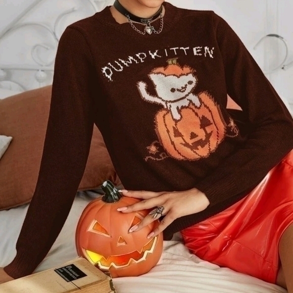 SHEIN Sweaters - SHEIN PUMPKITTEN SWEATER SZ L